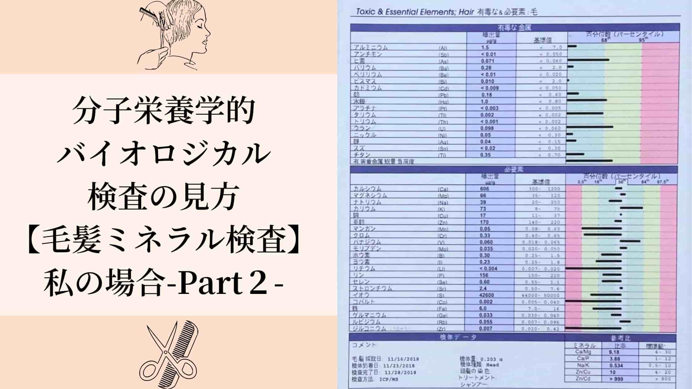 分子栄養学的バイオロジカル検査の見方 毛髪ミネラル検査 私の場合 Part2 カラダリビルド