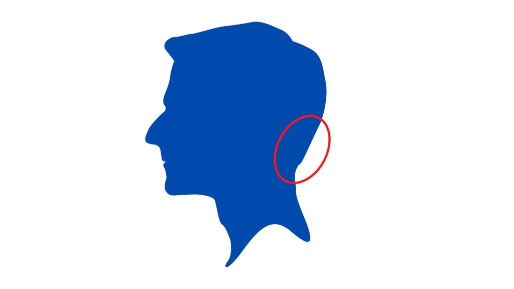 分子栄養学的バイオロジカル検査の見方 毛髪ミネラル検査 私の場合 Part1 カラダリビルド