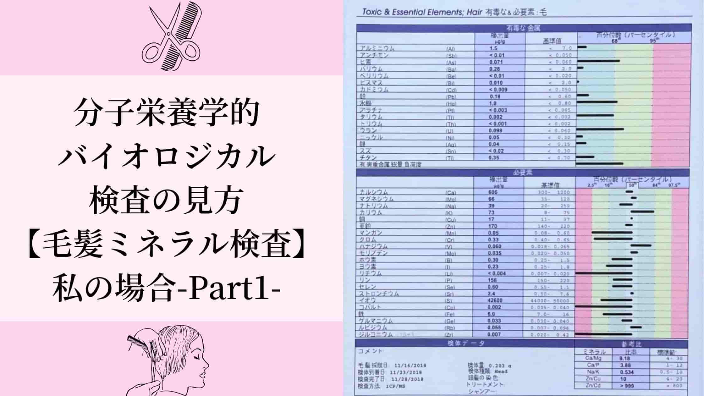 分子栄養学的バイオロジカル検査の見方 毛髪ミネラル検査 私の場合 Part1 カラダリビルド