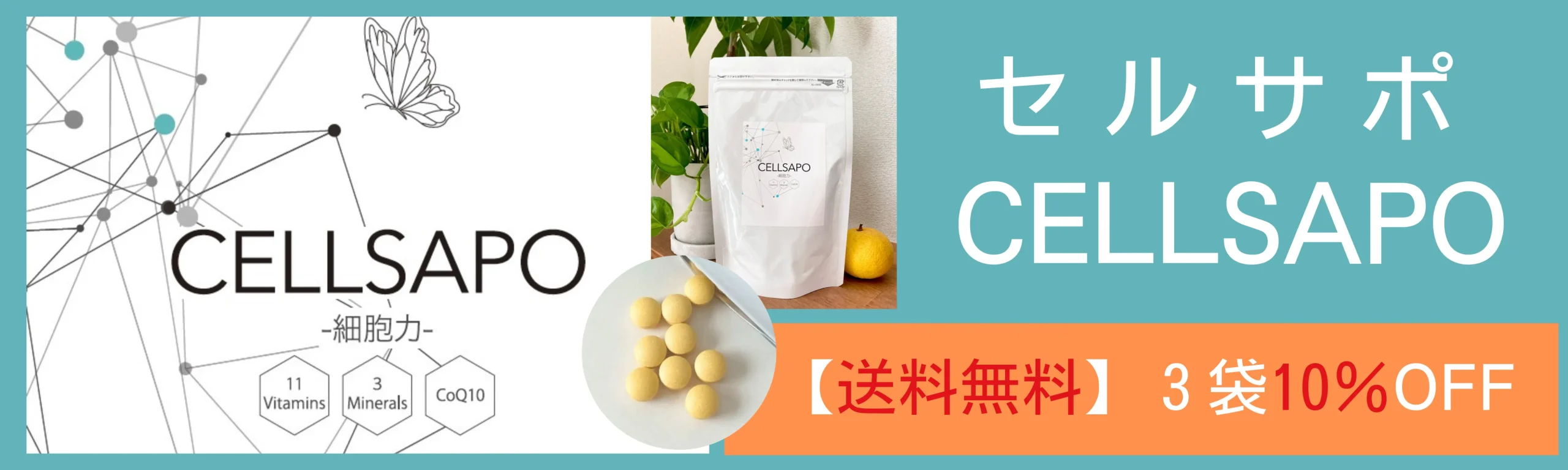 【セルサポ】細胞力をサポートする医療グレードサプリメント